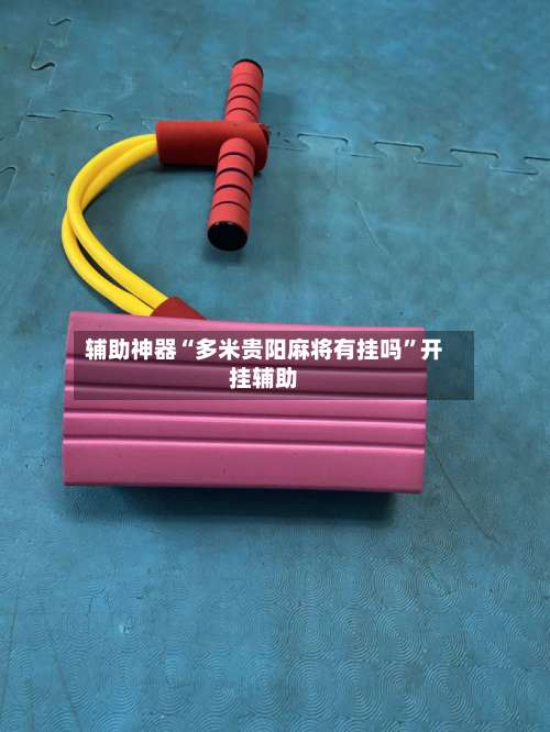 辅助神器“多米贵阳麻将有挂吗	”开挂辅助-第1张图片