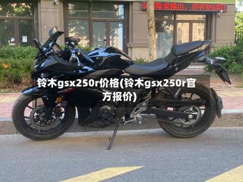 铃木gsx250r价格(铃木gsx250r官方报价)-第3张图片