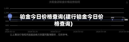 铂金今日价格查询(建行铂金今日价格查询)-第2张图片