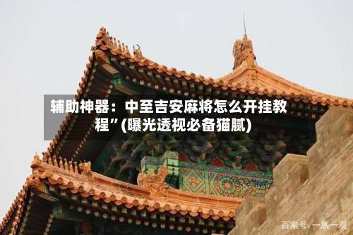 辅助神器：中至吉安麻将怎么开挂教程”(曝光透视必备猫腻)-第1张图片