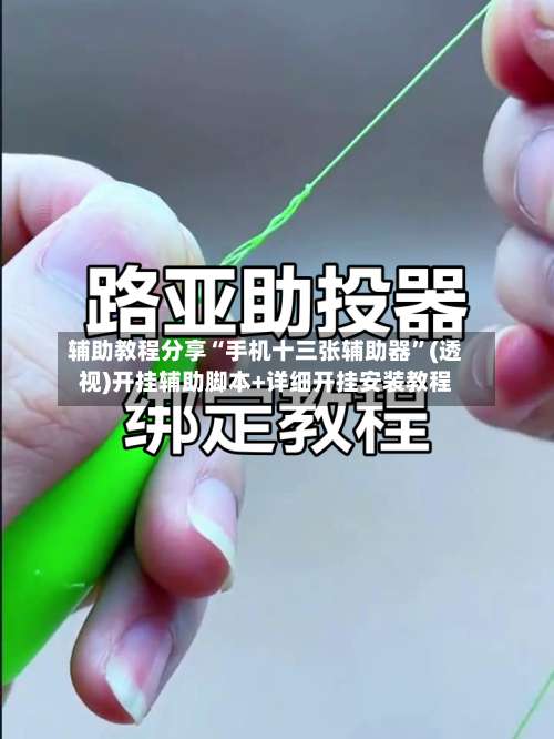 辅助教程分享“手机十三张辅助器”(透视)开挂辅助脚本+详细开挂安装教程-第2张图片