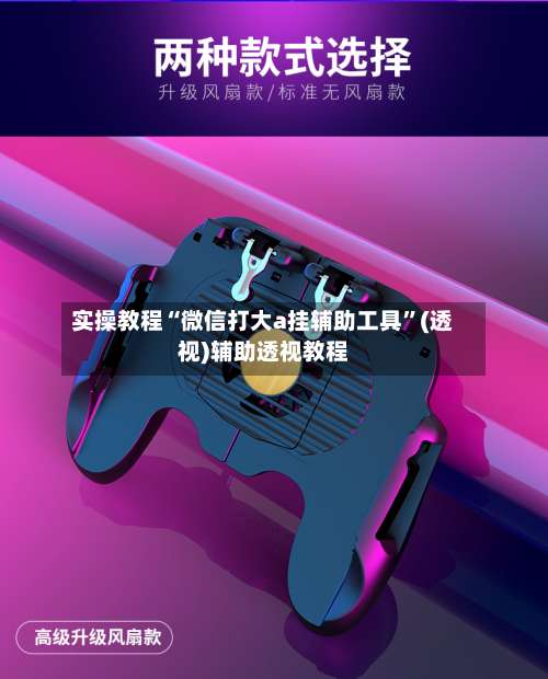 实操教程“微信打大a挂辅助工具”(透视)辅助透视教程-第1张图片