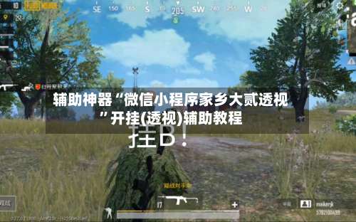 辅助神器“微信小程序家乡大贰透视”开挂(透视)辅助教程-第1张图片