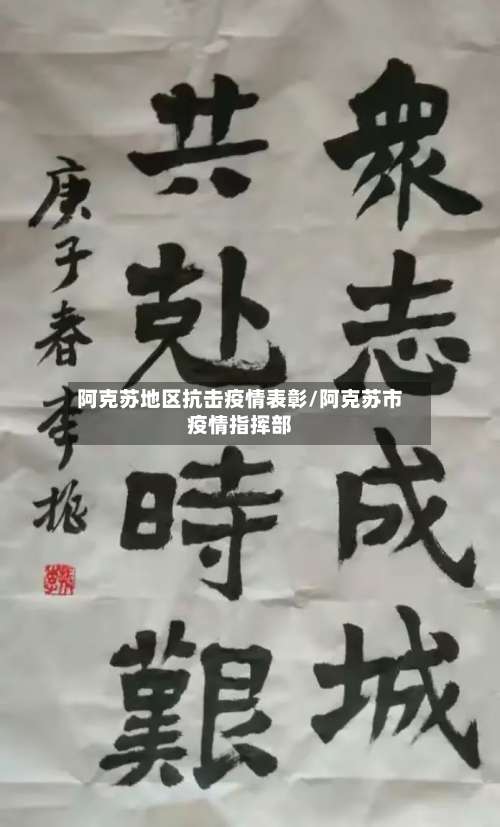 阿克苏地区抗击疫情表彰/阿克苏市疫情指挥部-第1张图片