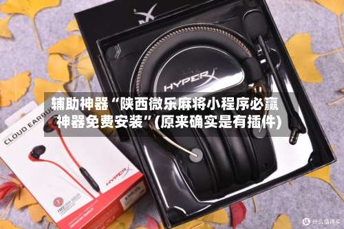 辅助神器“陕西微乐麻将小程序必赢神器免费安装”(原来确实是有插件)-第1张图片