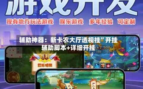 辅助神器：新卡农大厅透视挂	”开挂辅助脚本+详细开挂-第1张图片