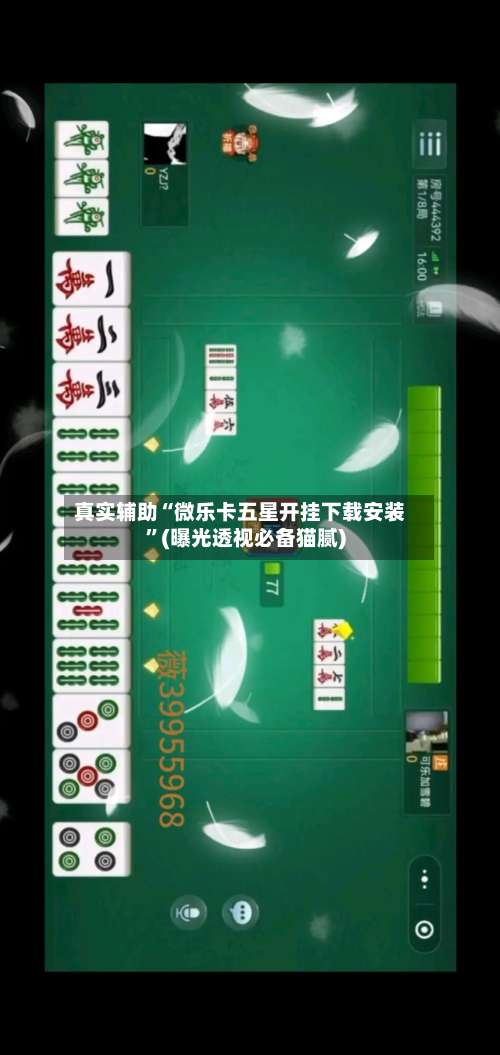 真实辅助“微乐卡五星开挂下载安装”(曝光透视必备猫腻)-第1张图片