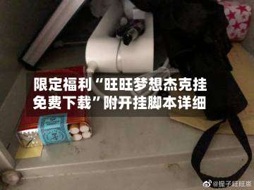 限定福利“旺旺梦想杰克挂免费下载	”附开挂脚本详细-第2张图片