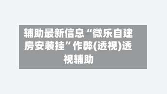 辅助最新信息“微乐自建房安装挂”作弊(透视)透视辅助-第3张图片