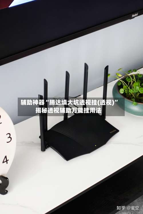 辅助神器“腾达填大坑透视挂(透视)	”揭秘透视辅助万能挂用法-第2张图片