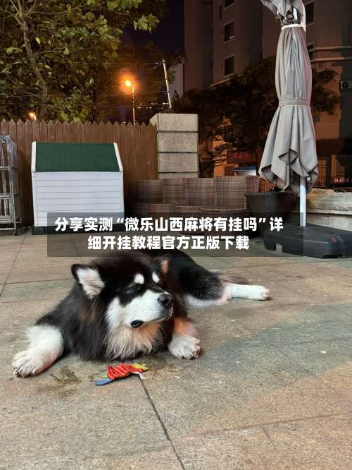 分享实测“微乐山西麻将有挂吗	”详细开挂教程官方正版下载-第1张图片