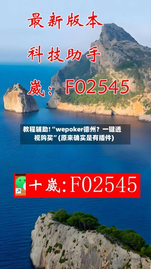 教程辅助!“wepoker德州？一键透视购买	”(原来确实是有插件)-第2张图片