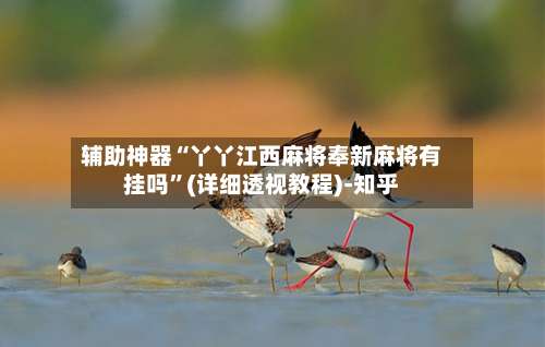 辅助神器“丫丫江西麻将奉新麻将有挂吗	”(详细透视教程)-知乎-第1张图片