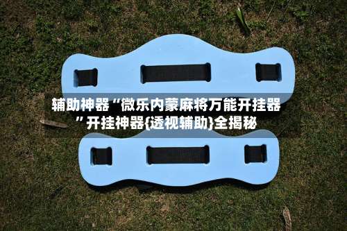 辅助神器“微乐内蒙麻将万能开挂器”开挂神器{透视辅助}全揭秘-第1张图片