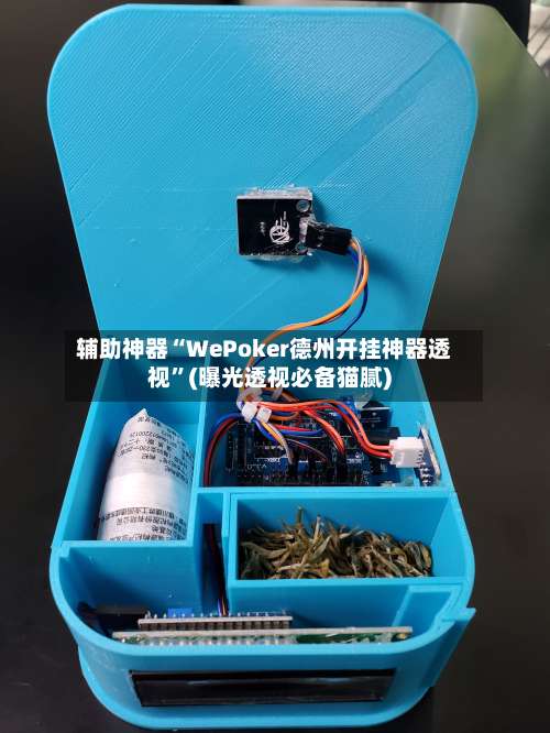 辅助神器“WePoker德州开挂神器透视”(曝光透视必备猫腻)-第2张图片