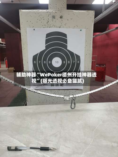 辅助神器“WePoker德州开挂神器透视”(曝光透视必备猫腻)-第3张图片