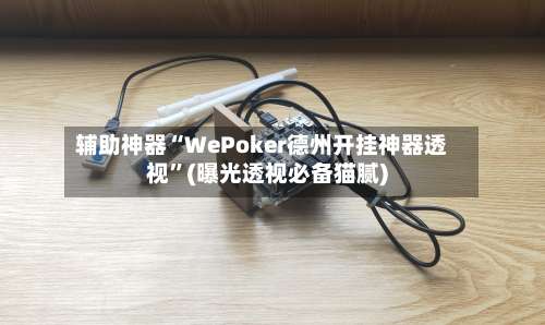 辅助神器“WePoker德州开挂神器透视	”(曝光透视必备猫腻)-第1张图片