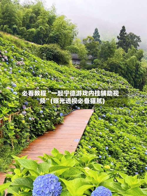 必看教程“一起宁德游戏内挂辅助视频”(曝光透视必备猫腻)-第2张图片