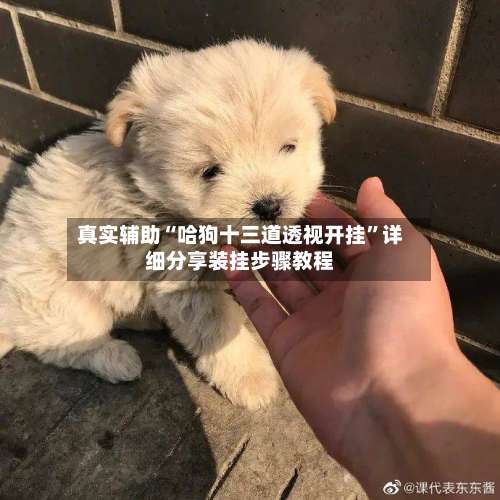 真实辅助“哈狗十三道透视开挂”详细分享装挂步骤教程-第1张图片