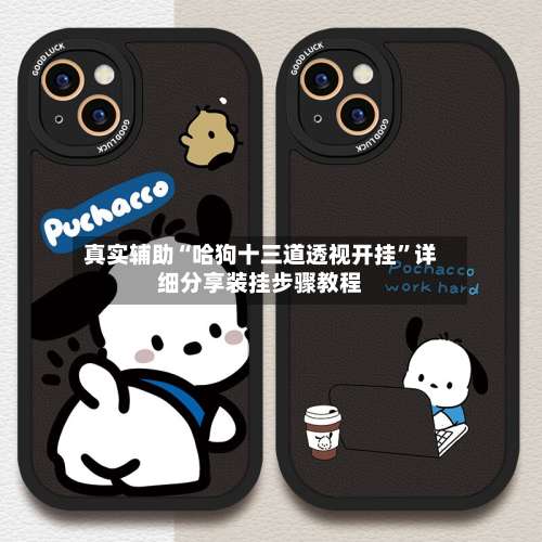 真实辅助“哈狗十三道透视开挂”详细分享装挂步骤教程-第3张图片