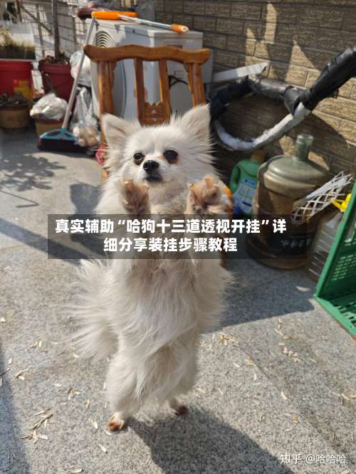 真实辅助“哈狗十三道透视开挂	”详细分享装挂步骤教程-第2张图片