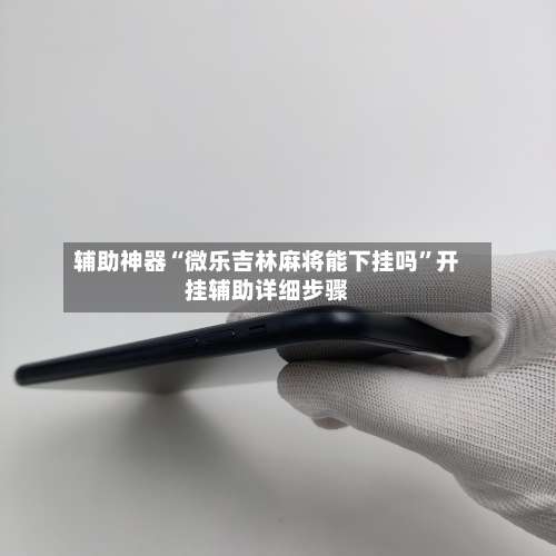 辅助神器“微乐吉林麻将能下挂吗	”开挂辅助详细步骤-第3张图片