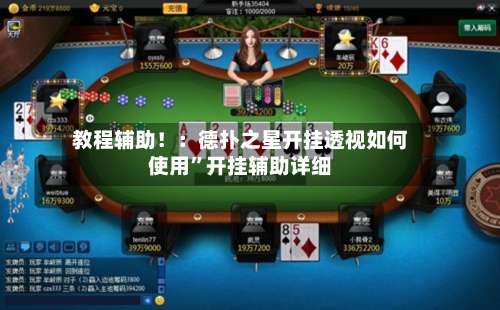 教程辅助！：德扑之星开挂透视如何使用”开挂辅助详细-第1张图片