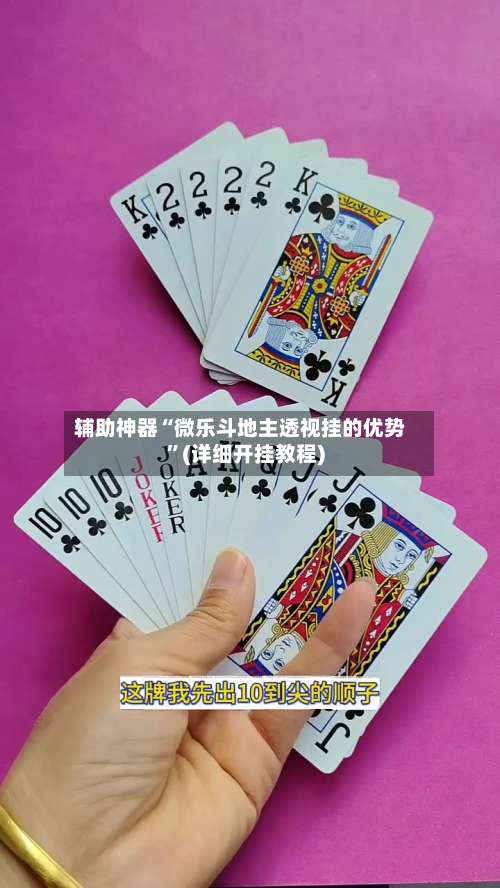 辅助神器“微乐斗地主透视挂的优势	”(详细开挂教程)-第2张图片