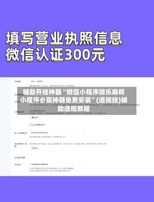 辅助开挂神器“微信小程序微乐麻将小程序必赢神器免费安装	”(透视挂)辅助透视教程-第2张图片