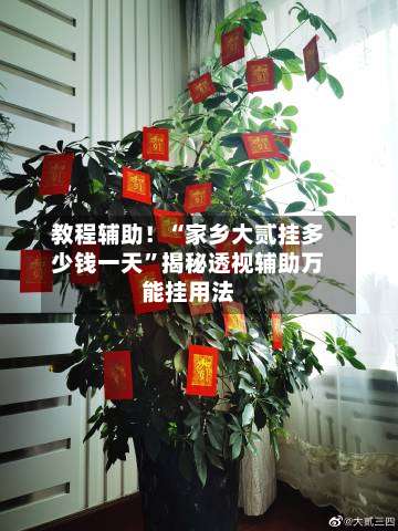 教程辅助！“家乡大贰挂多少钱一天”揭秘透视辅助万能挂用法-第1张图片