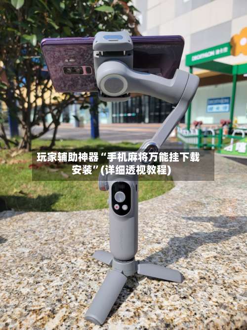 玩家辅助神器“手机麻将万能挂下载安装”(详细透视教程)-第3张图片