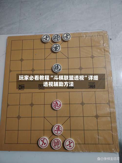 玩家必看教程“斗棋联盟透视	”详细透视辅助方法-第2张图片