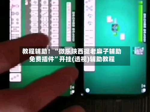 教程辅助！“微乐陕西捉老麻子辅助免费插件	”开挂(透视)辅助教程-第1张图片