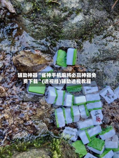 辅助神器“雀神手机麻将必赢神器免费下载”(透视挂)辅助透视教程-第2张图片