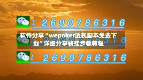 软件分享“wepoker透视脚本免费下载”详细分享装挂步骤教程-第2张图片