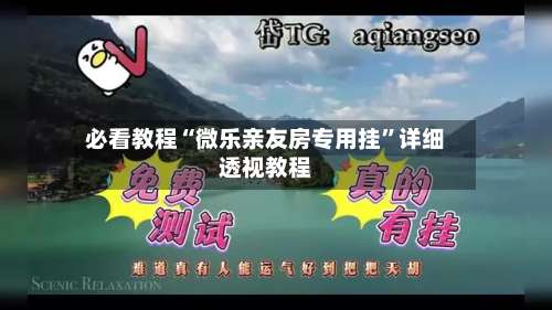 必看教程“微乐亲友房专用挂	”详细透视教程-第1张图片