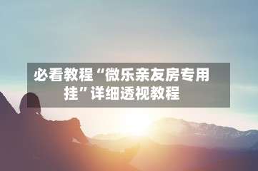 必看教程“微乐亲友房专用挂”详细透视教程-第3张图片