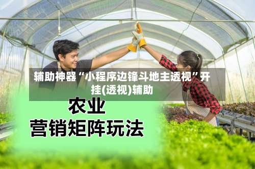 辅助神器“小程序边锋斗地主透视”开挂(透视)辅助-第1张图片