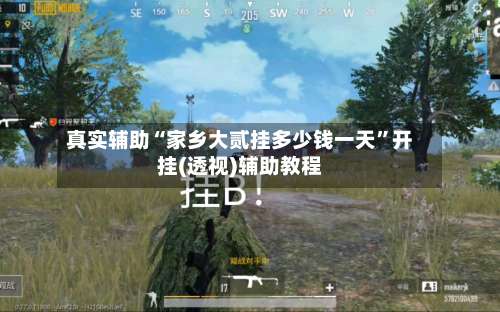 真实辅助“家乡大贰挂多少钱一天”开挂(透视)辅助教程-第2张图片