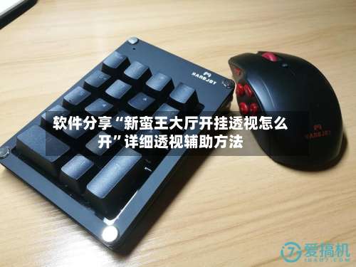 软件分享“新蛮王大厅开挂透视怎么开	”详细透视辅助方法-第2张图片