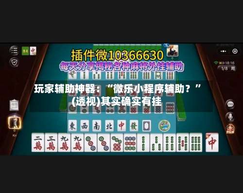 玩家辅助神器：“微乐小程序辅助？”(透视)其实确实有挂-第3张图片