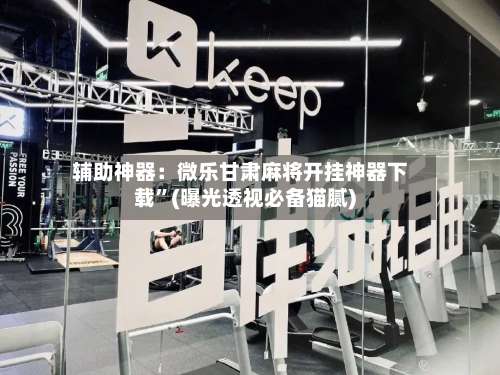 辅助神器：微乐甘肃麻将开挂神器下载	”(曝光透视必备猫腻)-第1张图片
