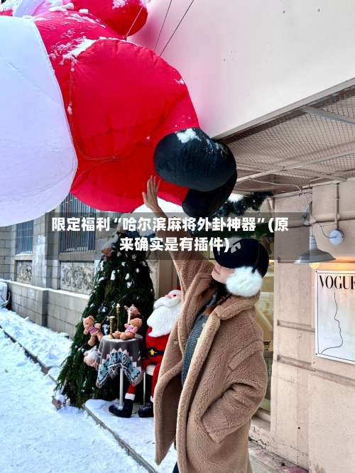 限定福利“哈尔滨麻将外卦神器”(原来确实是有插件)-第1张图片