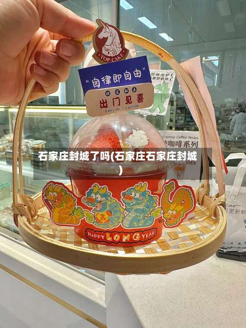 石家庄封城了吗(石家庄石家庄封城)-第3张图片