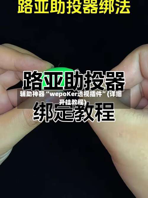 辅助神器“wepoKer透视插件	”(详细开挂教程)-第2张图片