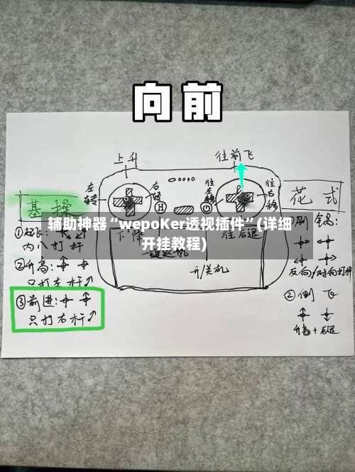 辅助神器“wepoKer透视插件”(详细开挂教程)-第1张图片