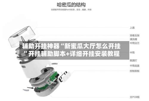 辅助开挂神器“新蜜瓜大厅怎么开挂	”开挂辅助脚本+详细开挂安装教程-第1张图片