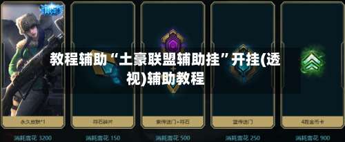 教程辅助“土豪联盟辅助挂”开挂(透视)辅助教程-第1张图片