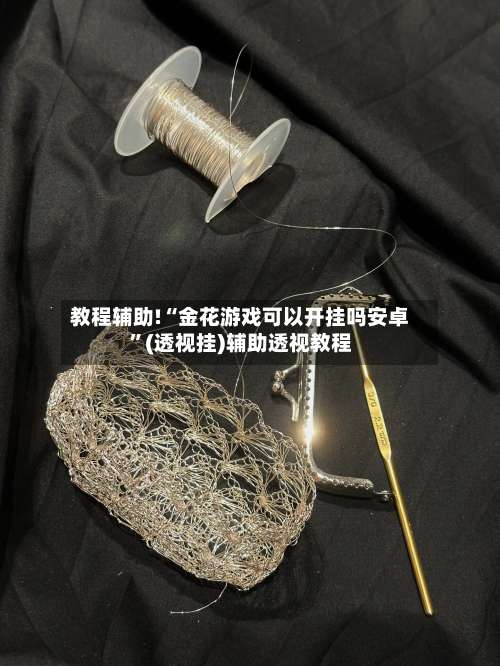 教程辅助!“金花游戏可以开挂吗安卓	”(透视挂)辅助透视教程-第2张图片