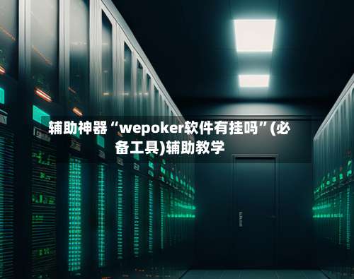 辅助神器“wepoker软件有挂吗”(必备工具)辅助教学-第2张图片